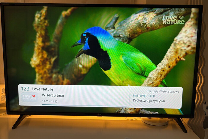 An LG television showing a nature programme with a bar naming the channel and programme.